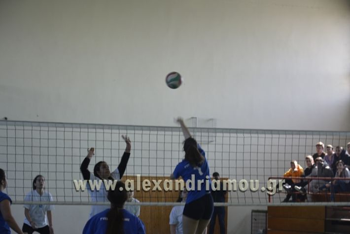 volley_1o-alexandreias-melikis2018 (53)